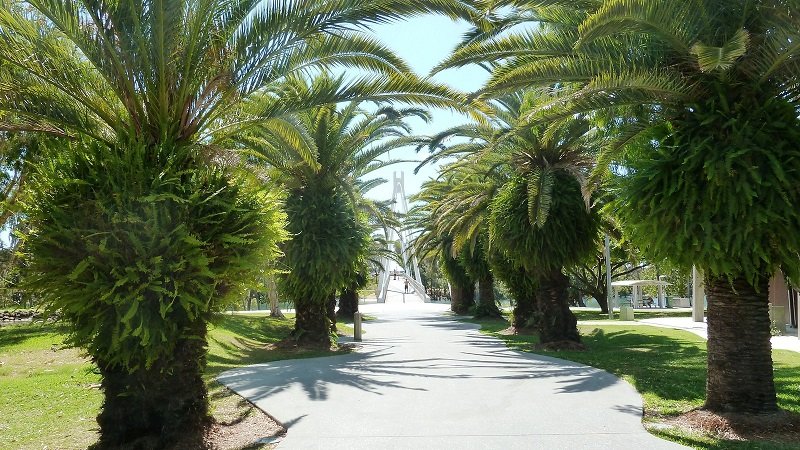 Macintosh Island Park Photo From City Of Gold Coast Website