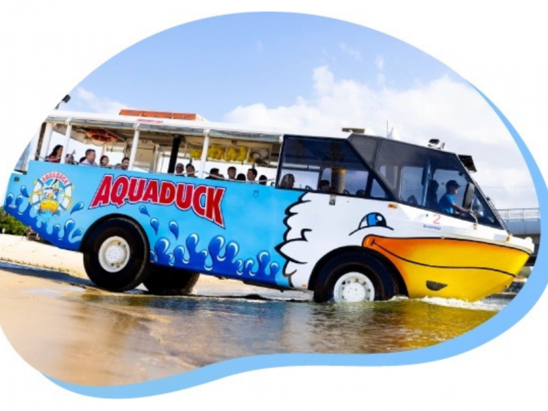 Mar 2025 Aquaduck Tours Cruises And The Best Way To See The Gold Coast From The Water