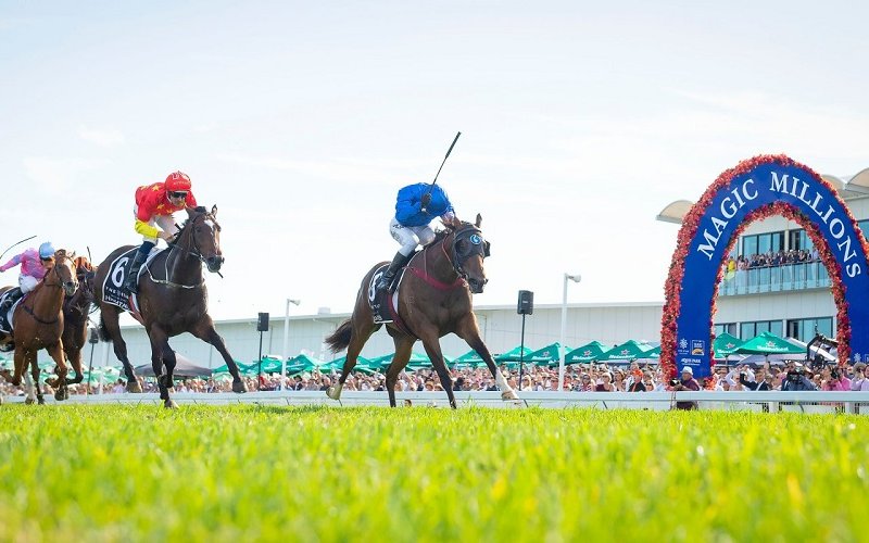 Photo From Magic Millions Website